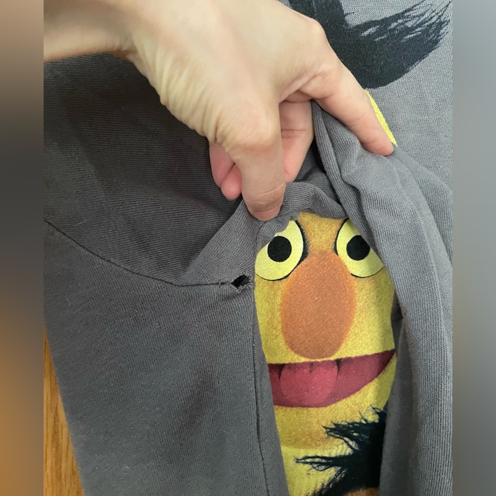 Bert and Ernie French Terry Sweatshirt